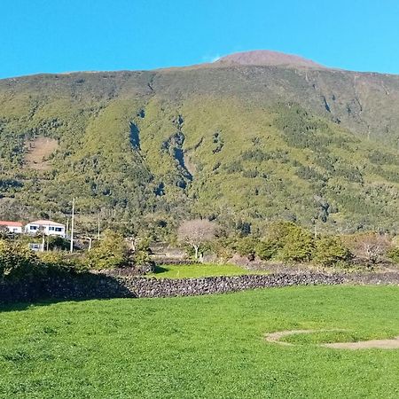 Sunflower Guest House - Madalena - Pico Sao Caetano  Екстериор снимка