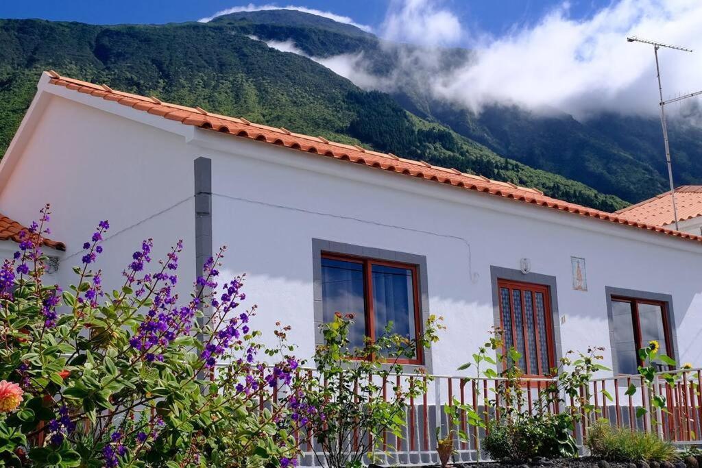 Sunflower Guest House - Madalena - Pico Sao Caetano  Екстериор снимка
