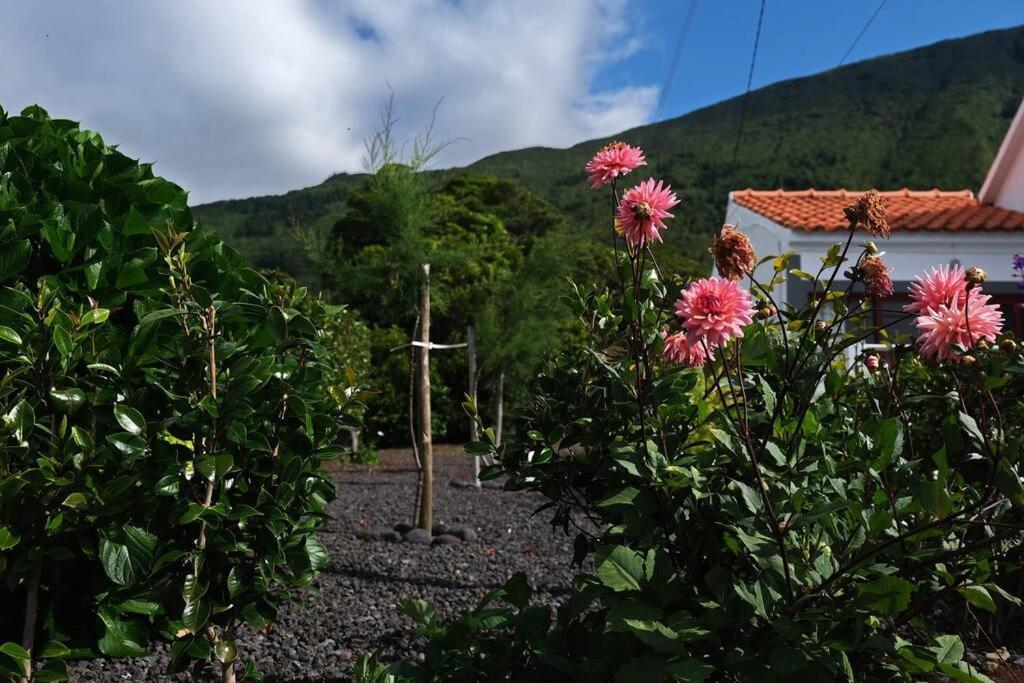 Sunflower Guest House - Madalena - Pico Sao Caetano  Екстериор снимка