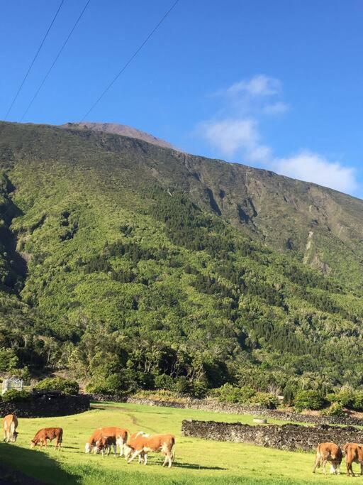 Sunflower Guest House - Madalena - Pico Sao Caetano  Екстериор снимка
