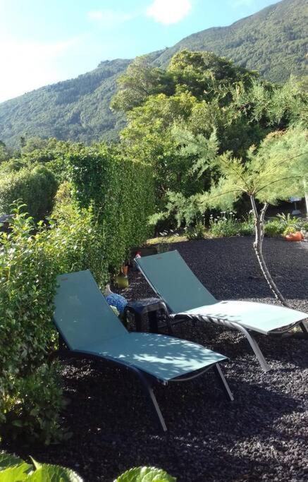 Sunflower Guest House - Madalena - Pico Sao Caetano  Екстериор снимка