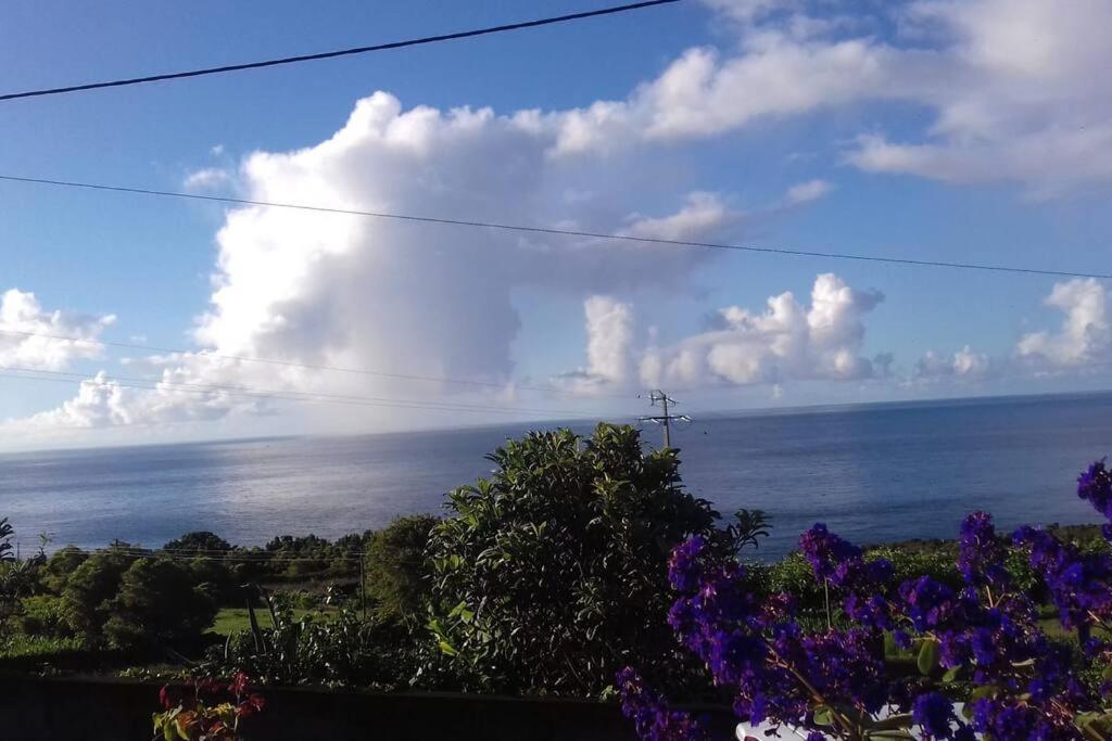 Sunflower Guest House - Madalena - Pico Sao Caetano  Екстериор снимка