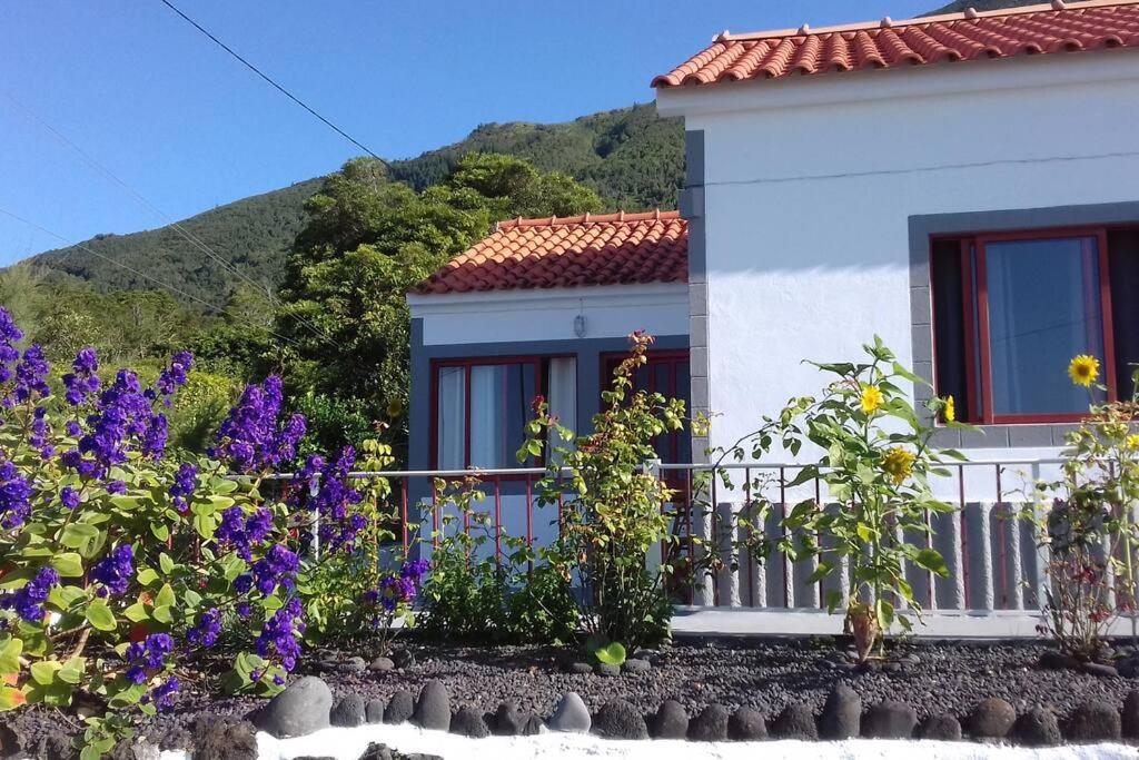 Sunflower Guest House - Madalena - Pico Sao Caetano  Екстериор снимка