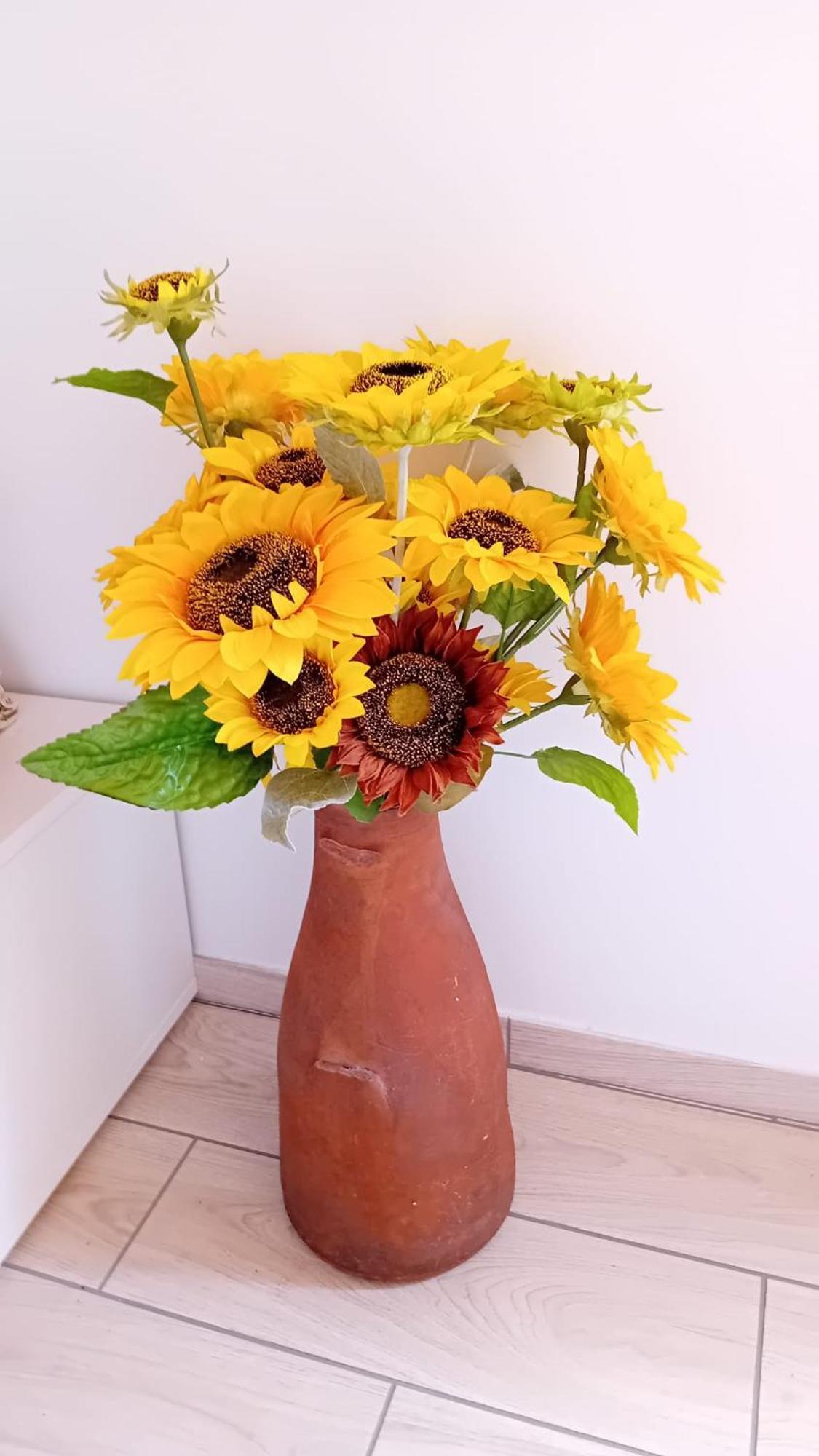 Sunflower Guest House - Madalena - Pico Sao Caetano  Екстериор снимка