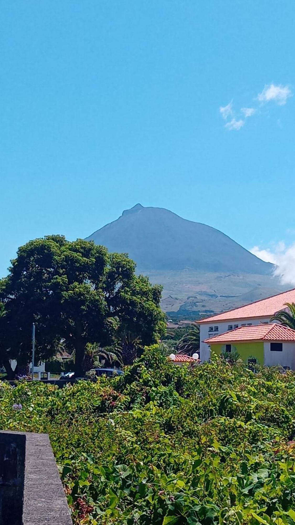 Sunflower Guest House - Madalena - Pico Sao Caetano  Екстериор снимка