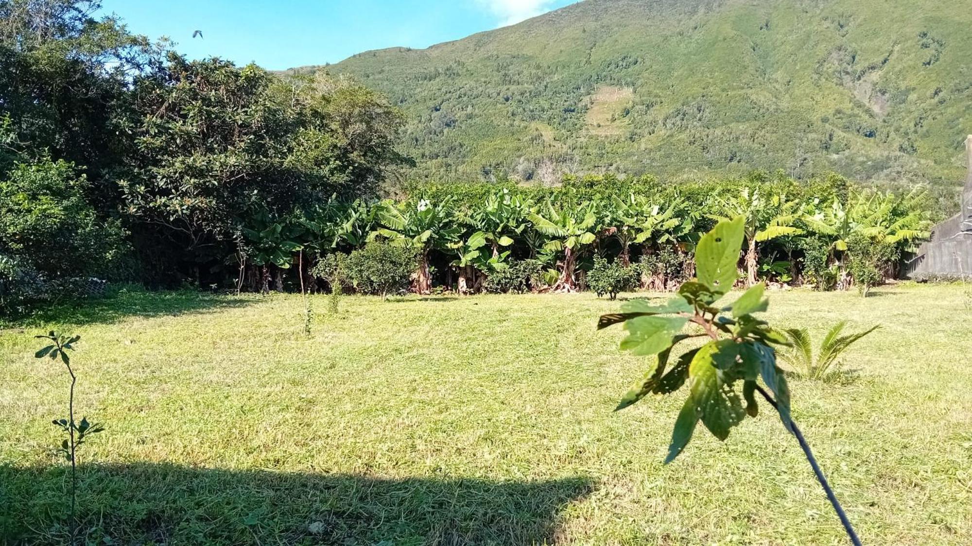 Sunflower Guest House - Madalena - Pico Sao Caetano  Екстериор снимка